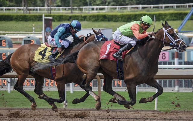 科技與運動